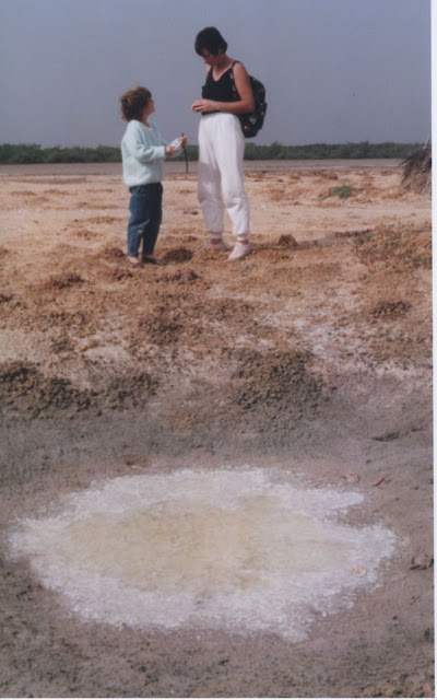 Les salins du Saloum