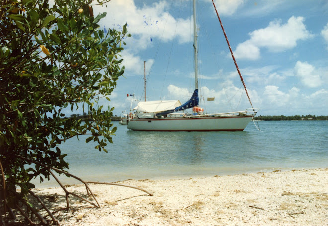 La vie au Saloum