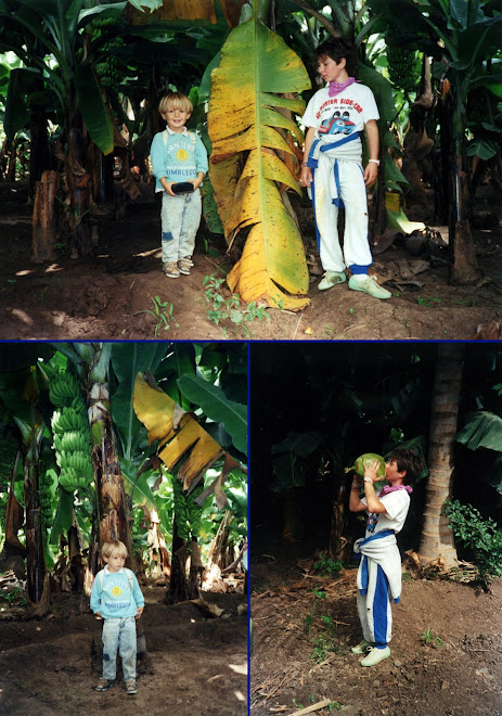 Virginie et Morgan dans la bananeraie