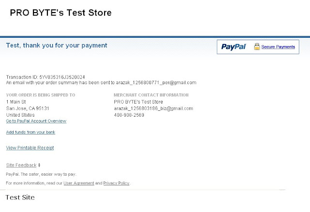 Paypal Invoicing - Send Invoice