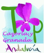 [Cazorla+y+Granada..gif]