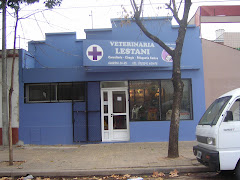 VETERINARIA LESTANI