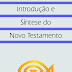 Introdução e Síntese do Novo Testamento - Gerhard Hörster