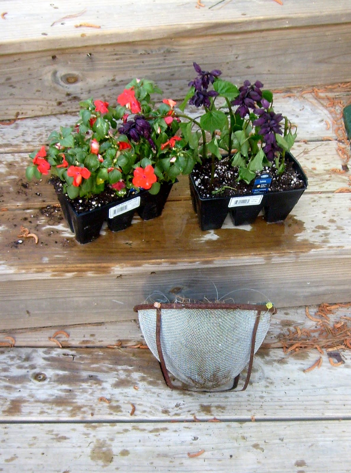 Homemaker Colander Planter and Planter Bling