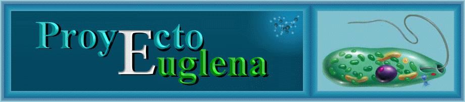 Proyecto Euglena