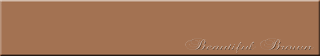 beautiful brown style header blogger template