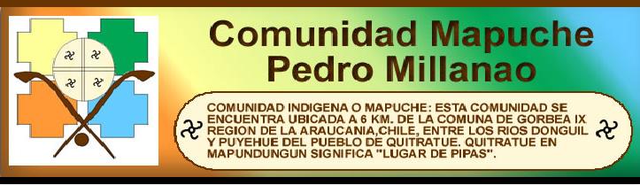 Comunidad Mapuche Pedro Millanao