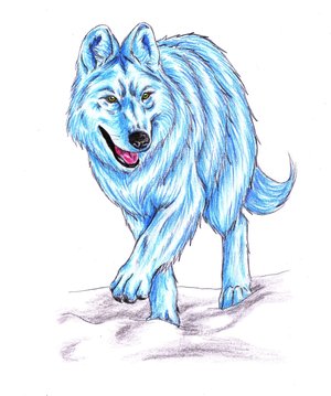 Tatto Upank Tatto Srigala Biru