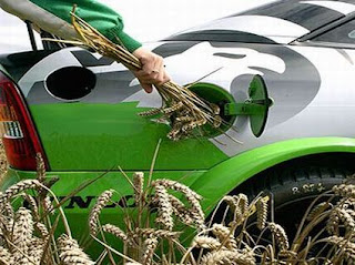 Biofuels RSPO