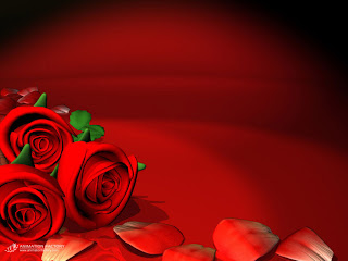 Red Roses Love Wallpapers And Backgrounds Seen On www.dil-ki-dunya.tk