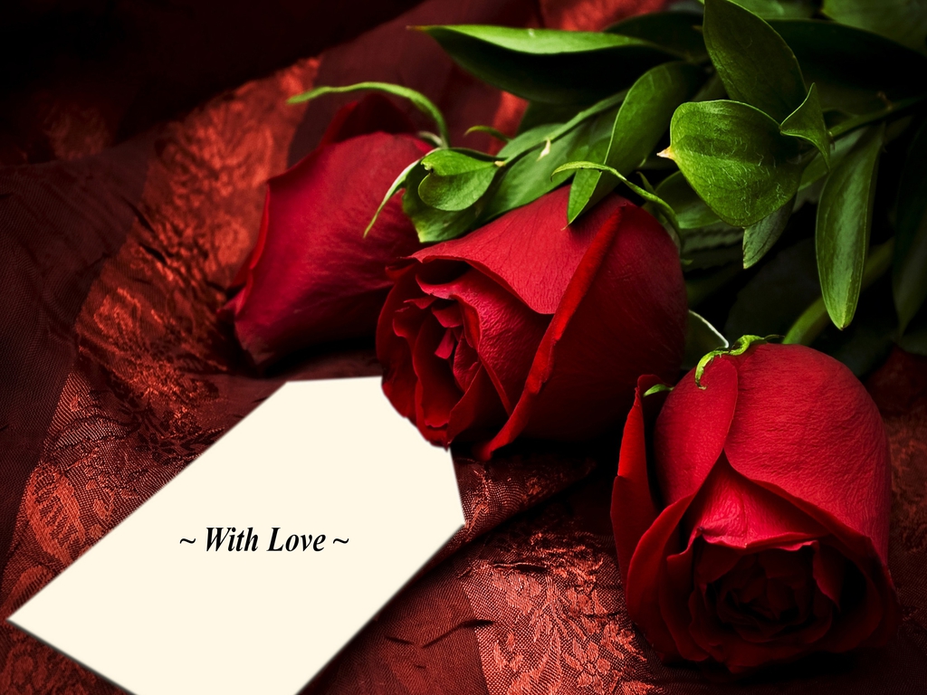Red Rose I Love You Wallpaper Red Rose I Love You Wallpaper