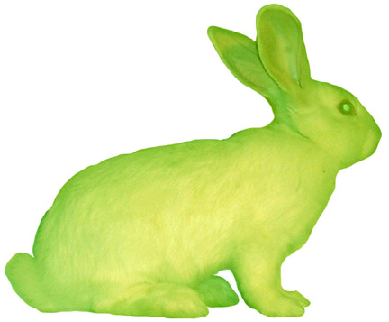 [Alba+GFP+Rabbit.jpg]