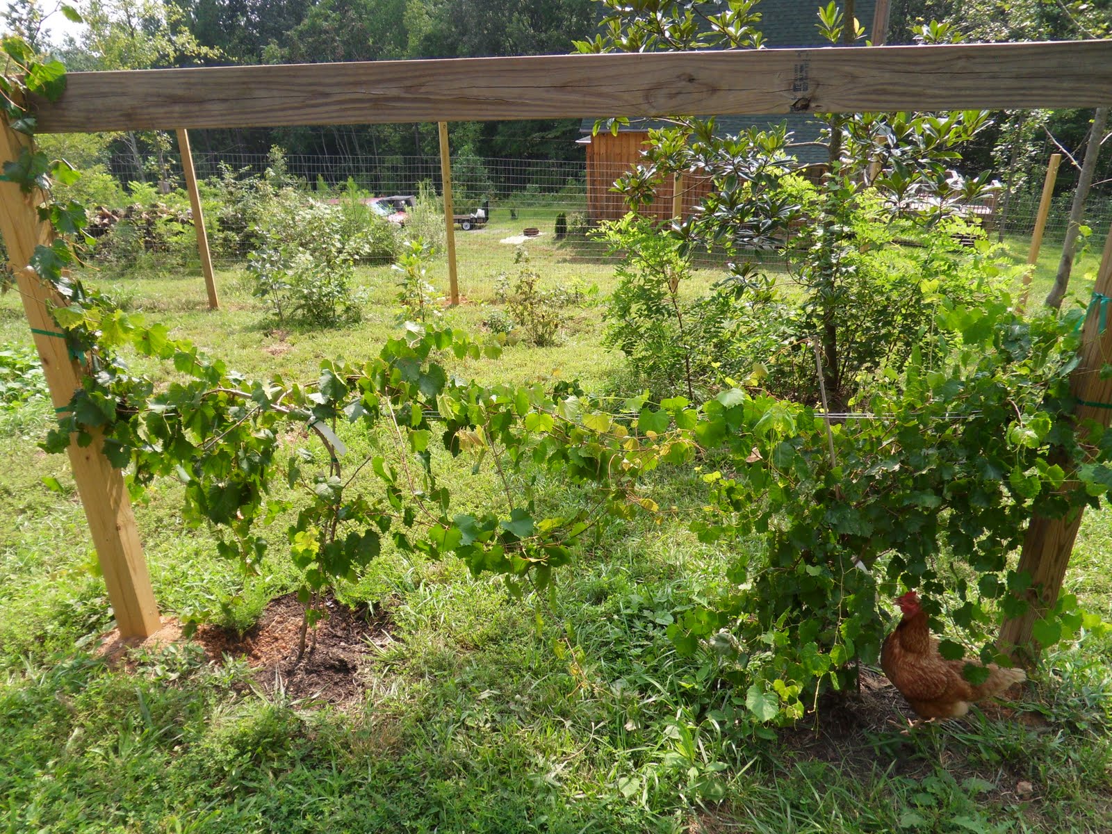 Ken Ilgunas Images of semisustainability