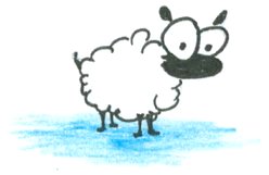 [sheep-702445.jpg]