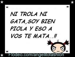 CANCIONES DE RE PIOLA canciones de re piola: