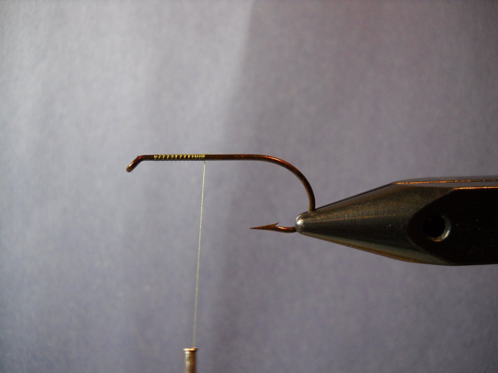[senyo+fr+minnow1.JPG]