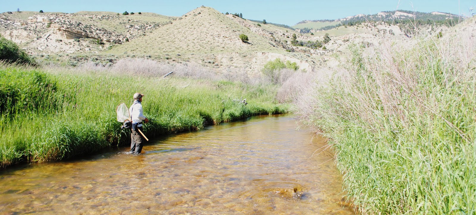 Steelhead Alley Outfitters Lake Erie Fly Fishing Guide Service and