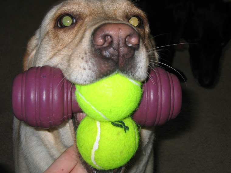 Maddie has all the toys