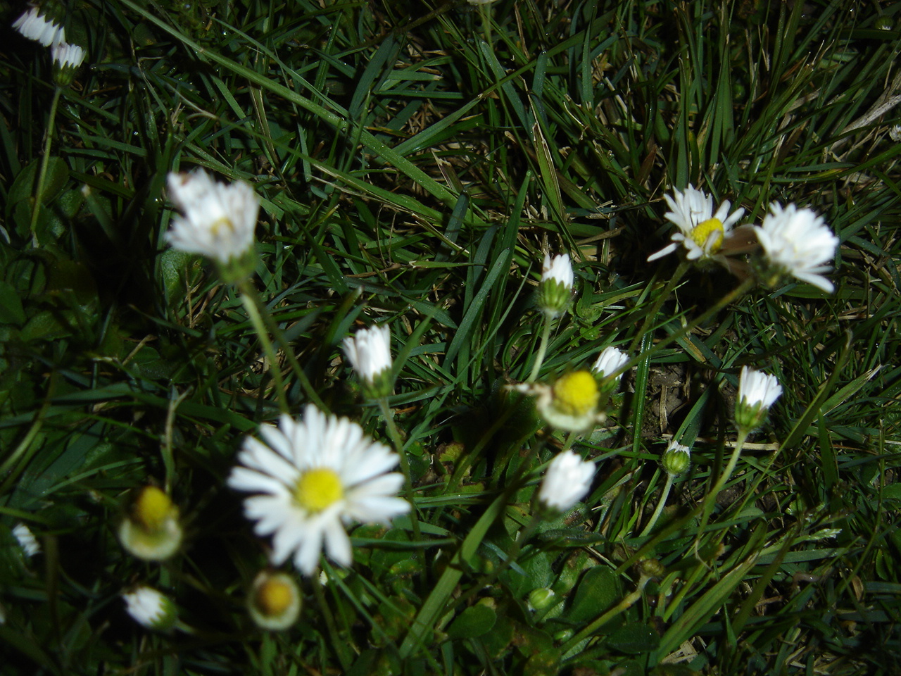 [DSC08264.JPG]