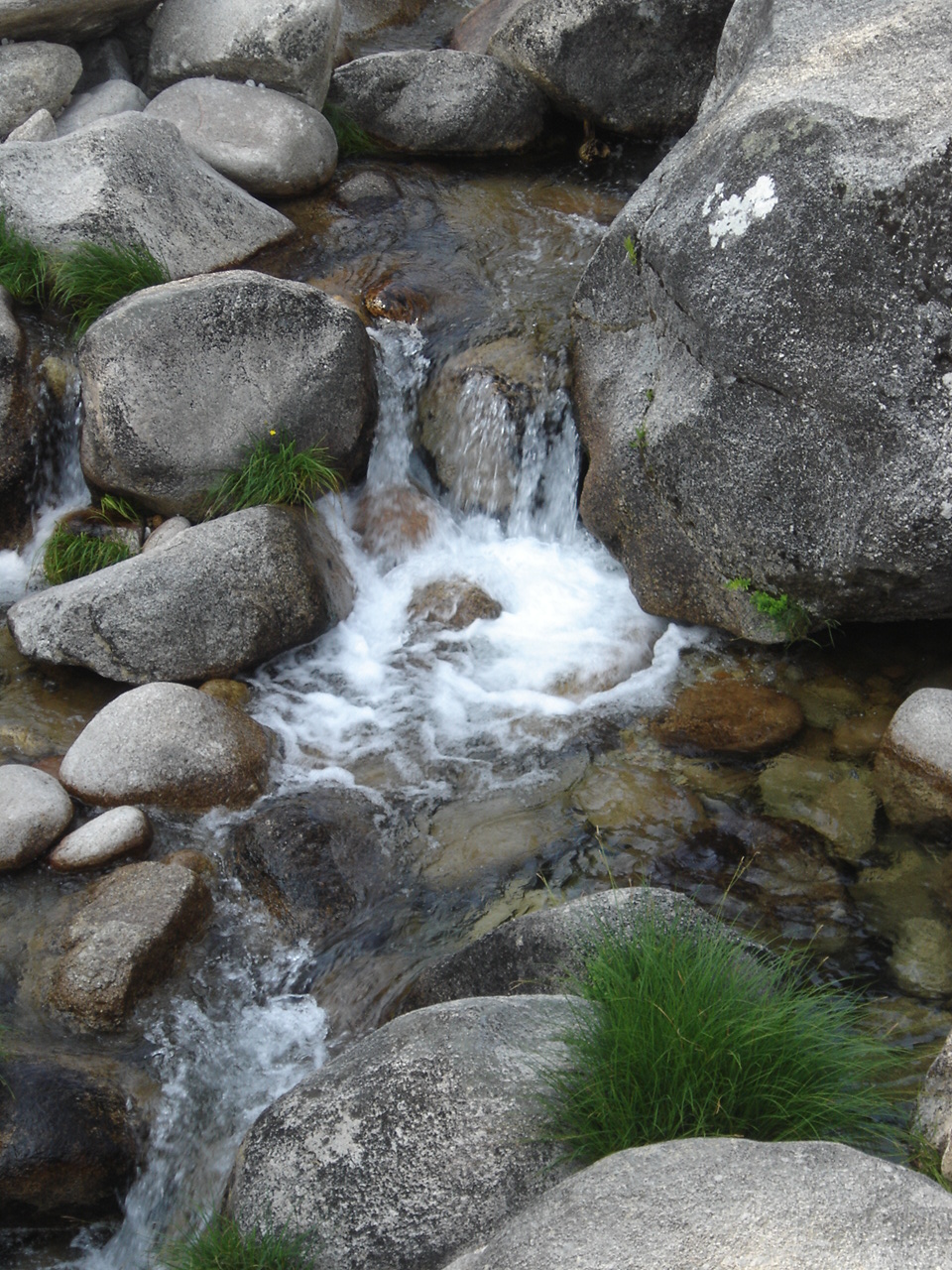 [DSC09091.JPG]
