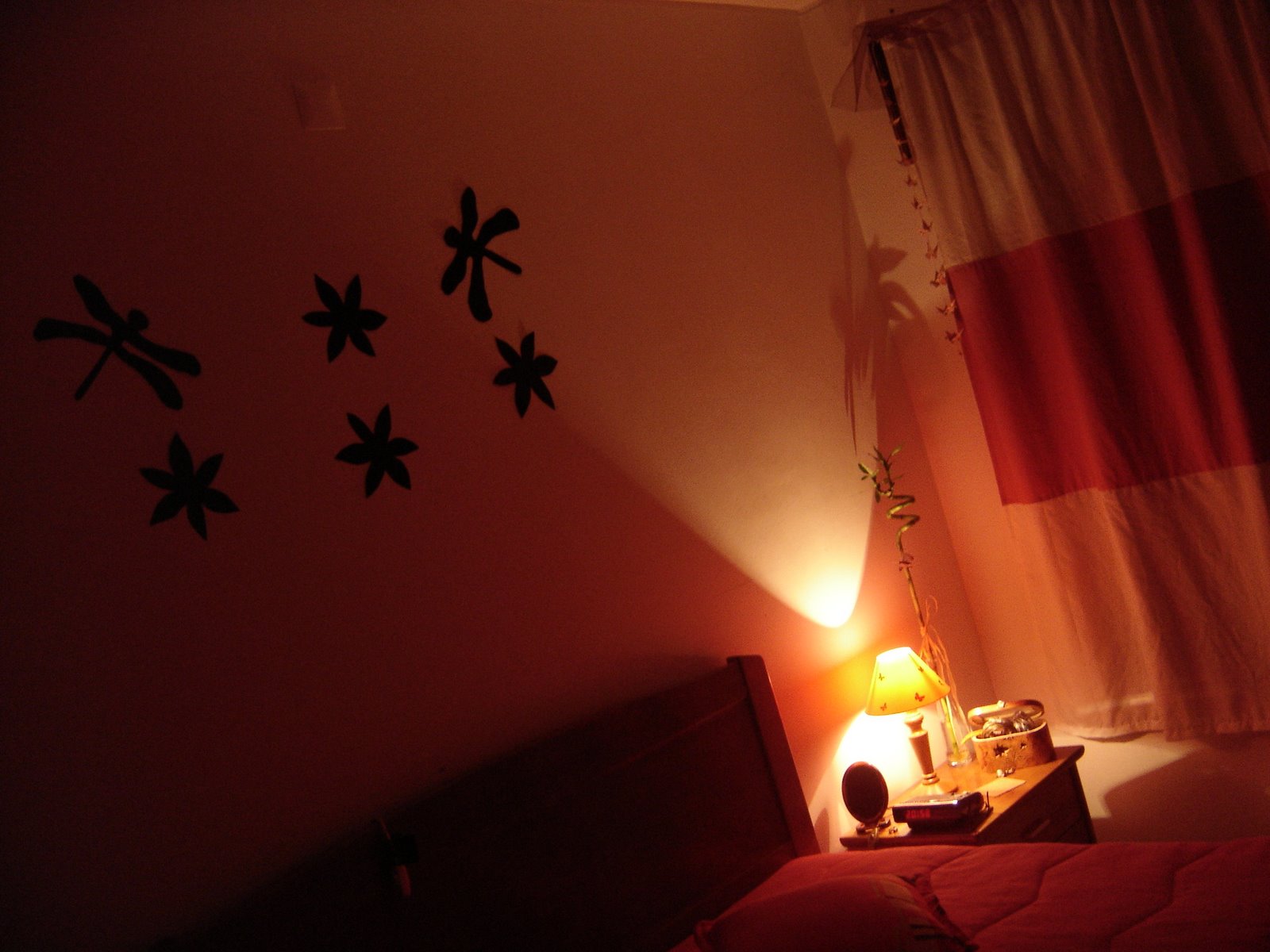 [DSC05569.JPG]