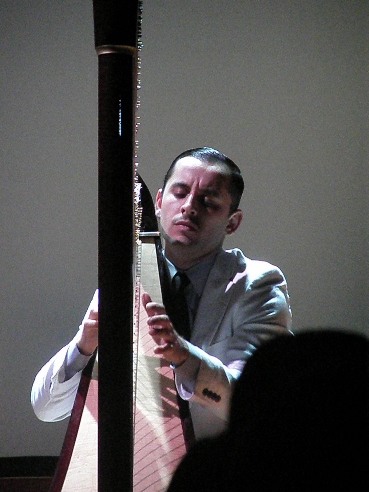 [ele+não+é...+harpa.jpg]