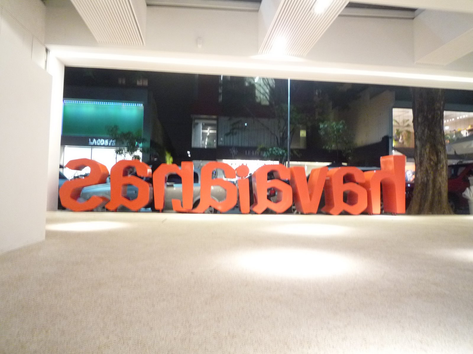 [P1060481.JPG]