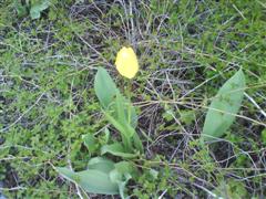 [DSC00055+(WinCE).JPG]