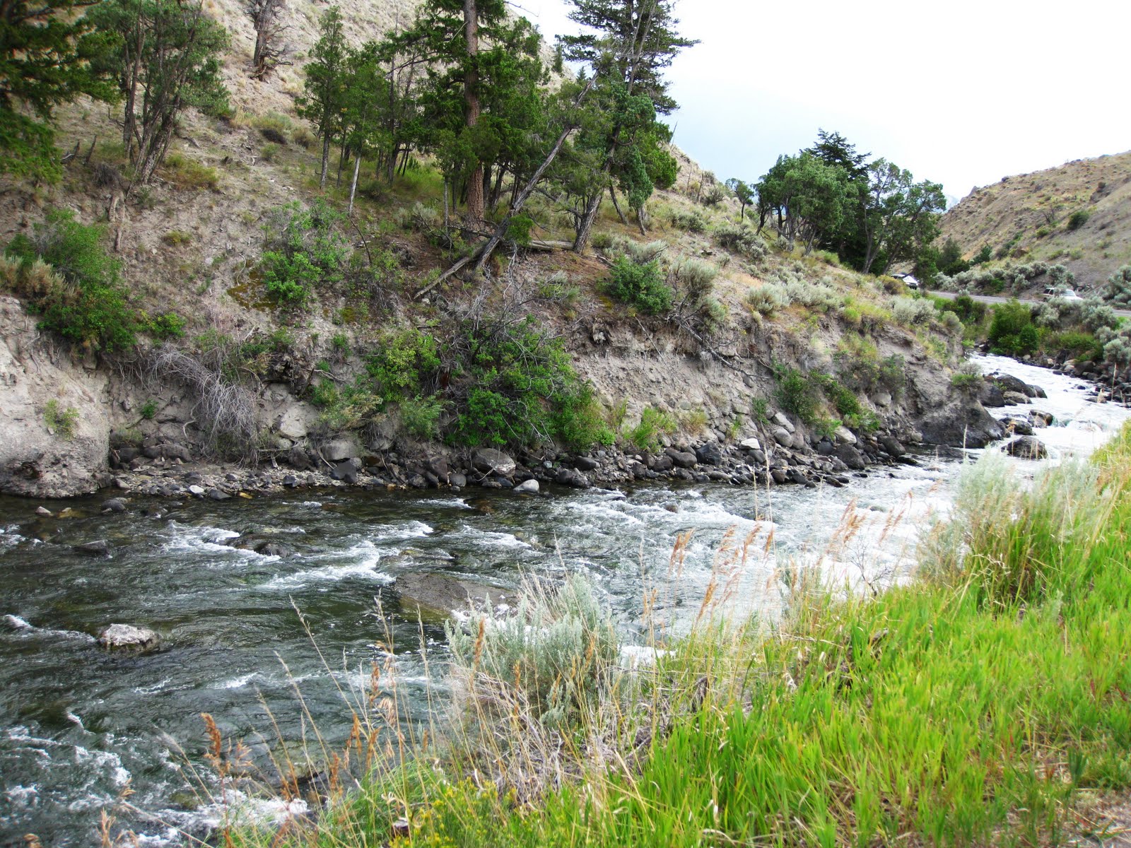 [8-15-09+yELLoWsToNe!+064.JPG]