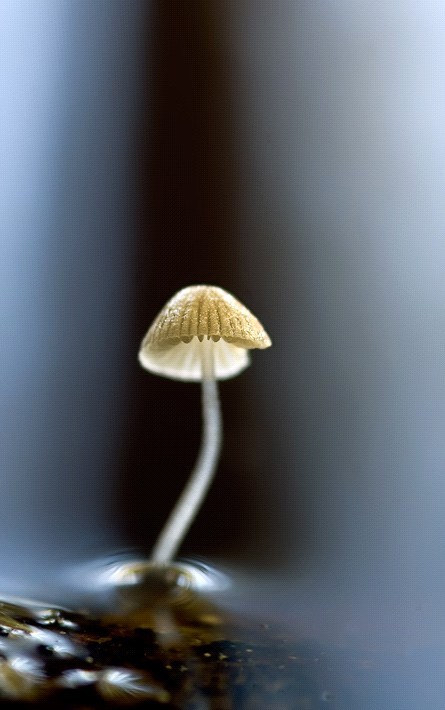 [AFIRM.DE+PODER+8.jpg]