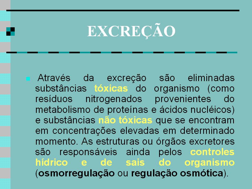 [Slide2.JPG]