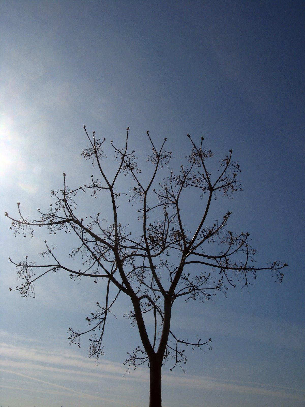 [IMG_5082.JPG]