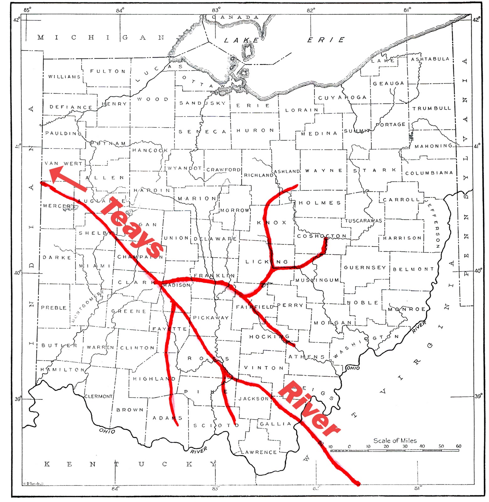 Ned Greenwood looks at the World January 2011