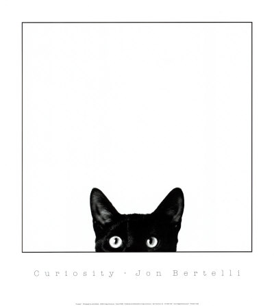 [B1089~Curiosity-Posters.jpg]