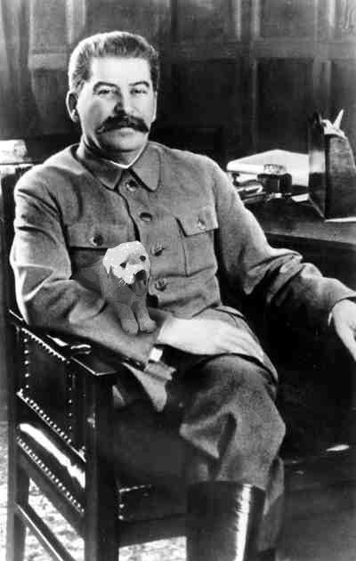 Scary People Holding Puppies: Joseph Stalin