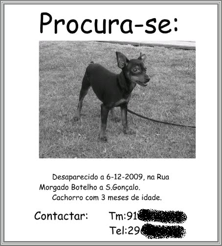 [Sem+título.bmp]