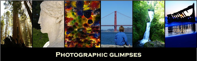 Photographic Glimpses