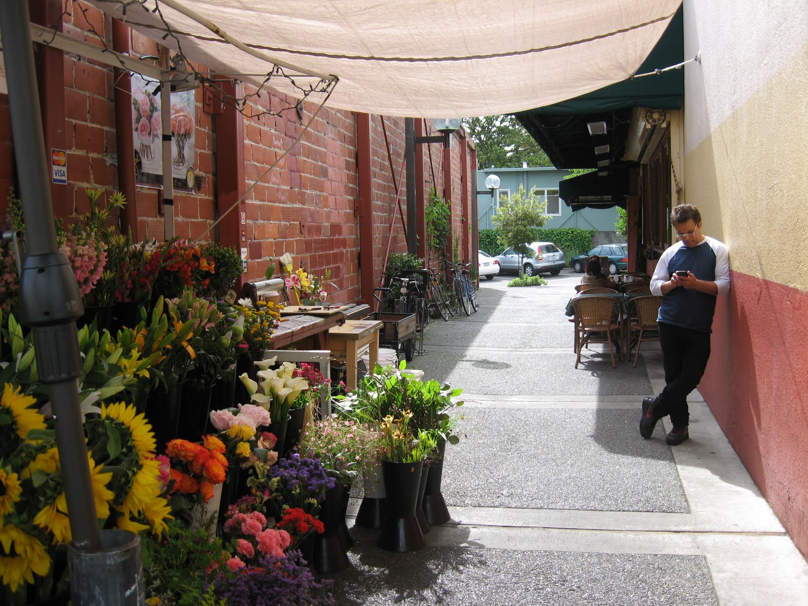 Mrs Peeks Farmhouse ICI Ice Cream Shop College Street, Berkeley