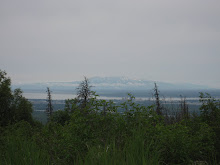 View of Mount Susitna...aka "The Sleeping Lady" ...Near Point hike July 4, 2008