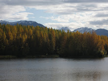 Cheney Lake