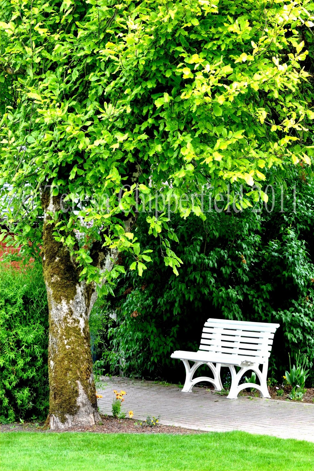 pdx photoshop cs2 keygen pdx photoshop cs2 keygen