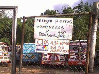 imagenes imagenes