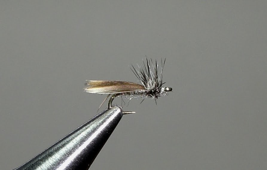 Small Fly Funk AK Best's Spent Caddis