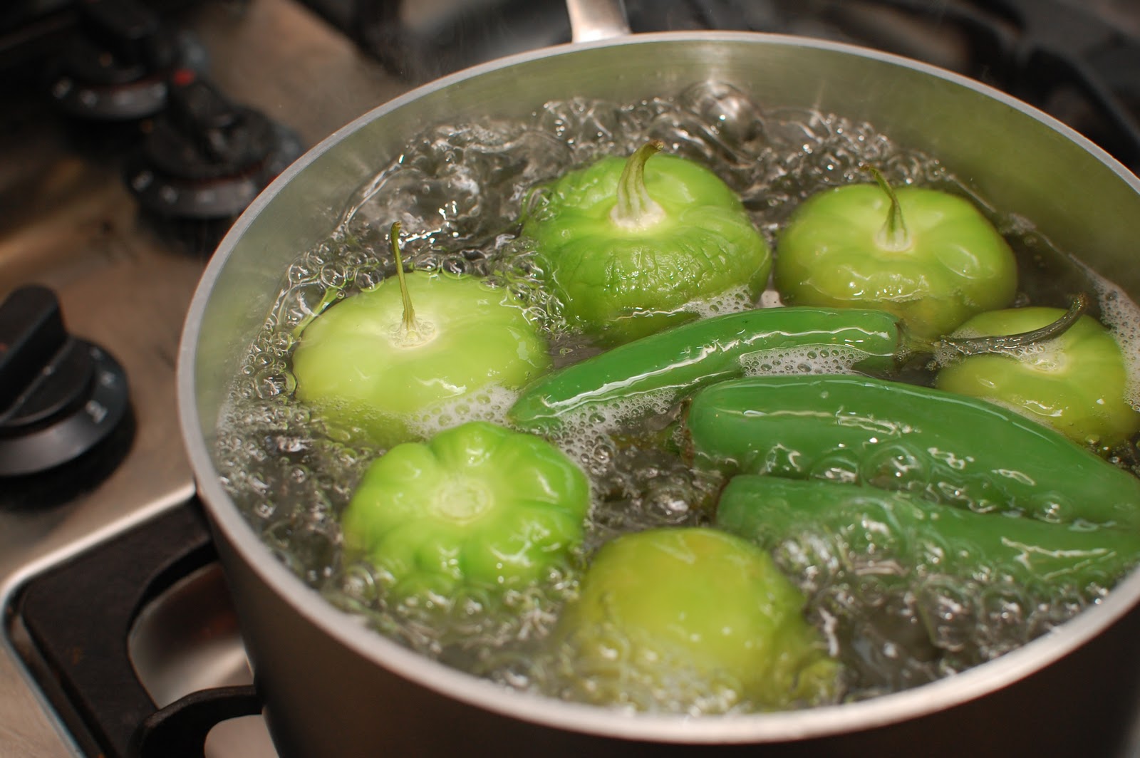 Enchiladas Verdes de Pollo (Authentic Mexican & Super Easy!) Or so