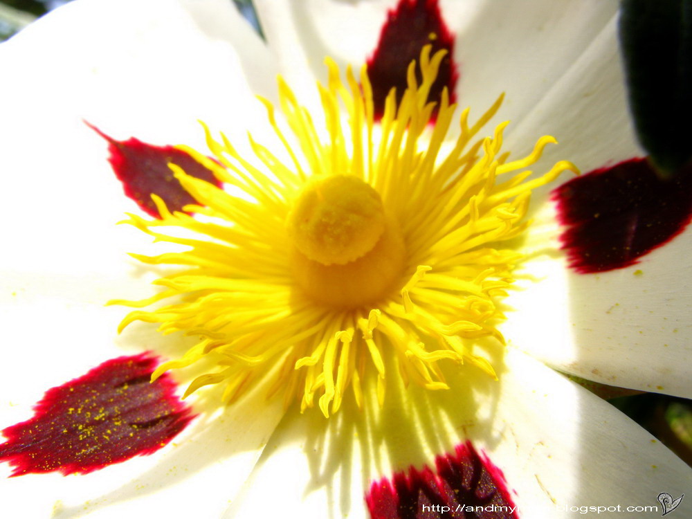 [06-04-2008+14-36-57_0119_resize.JPG]