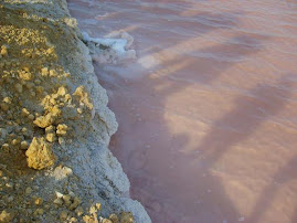 Salinas de Manaure