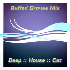 DJ Disciple D.J. Disciple Freeze Club Mixer Volume 6: DJ Disciple Megamix '96 DJ Disciple D.J. Disciple Freeze Club Mixer Volume 6: DJ Disciple Megamix '96