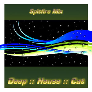 [image_2009_06_spitfire_mix.jpg]