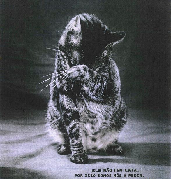 [ad_gato_sem_lata_ripped.JPG]