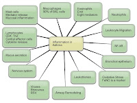 Inhaled corticosteroids acute copd exacerbation